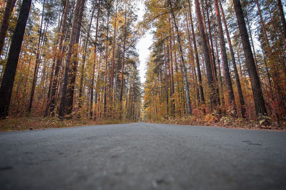 Photograph by Антон Чупин