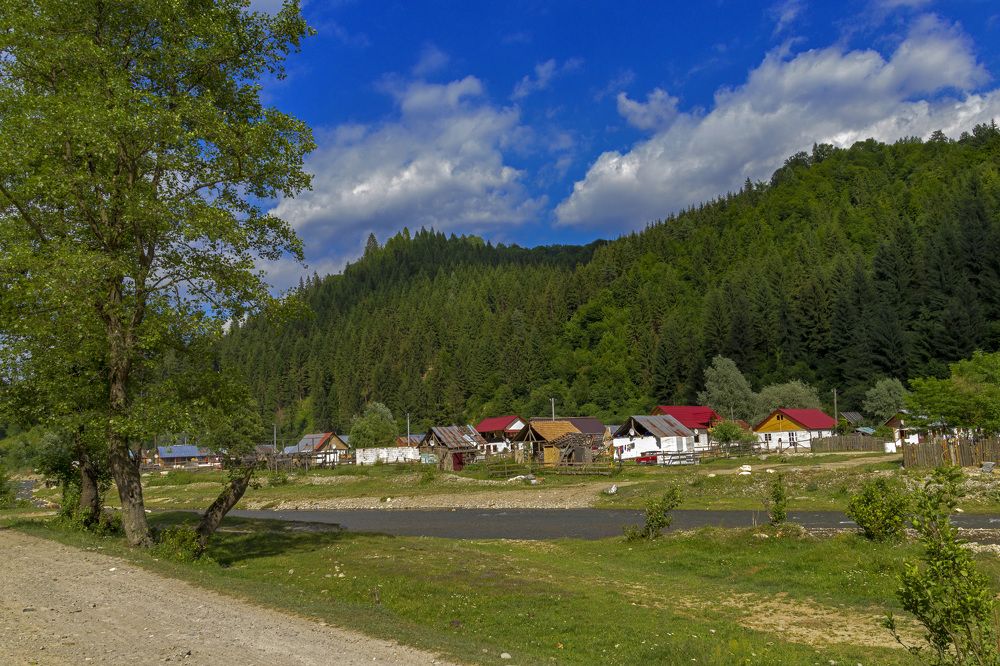 Photograph by Silviu Cojanu