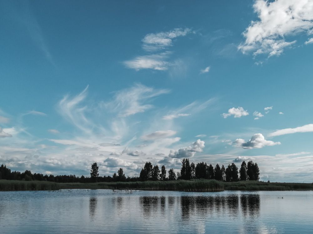 Photograph by Ольга Барковская