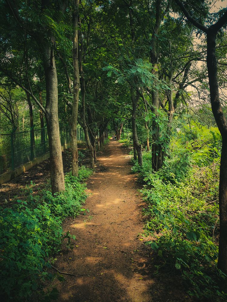 Photograph by Shaik Tajudin