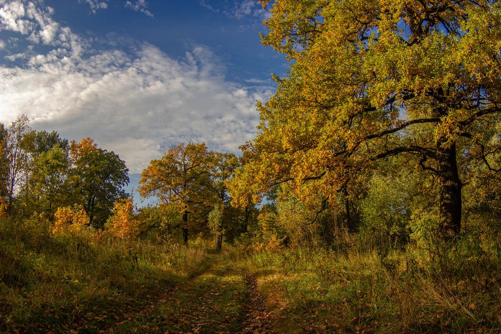 Photograph by Антон Чаузов