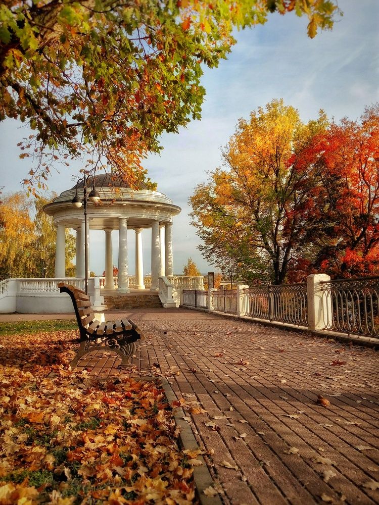 Фотография автора Тамара Караваева