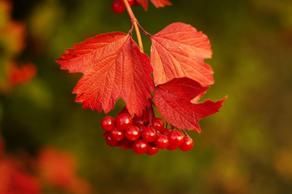 Photograph by Danyliuk Ruslan