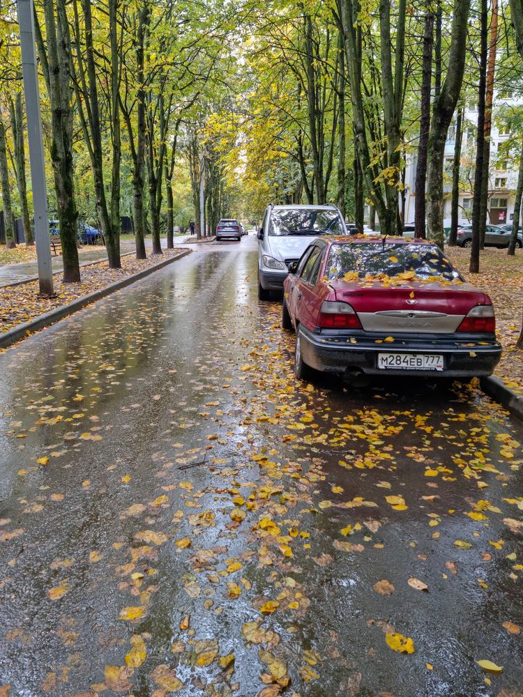 После дождя