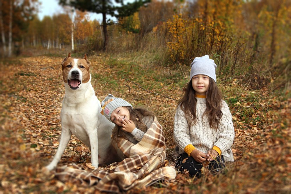 Photograph by Надежда Тарасенко