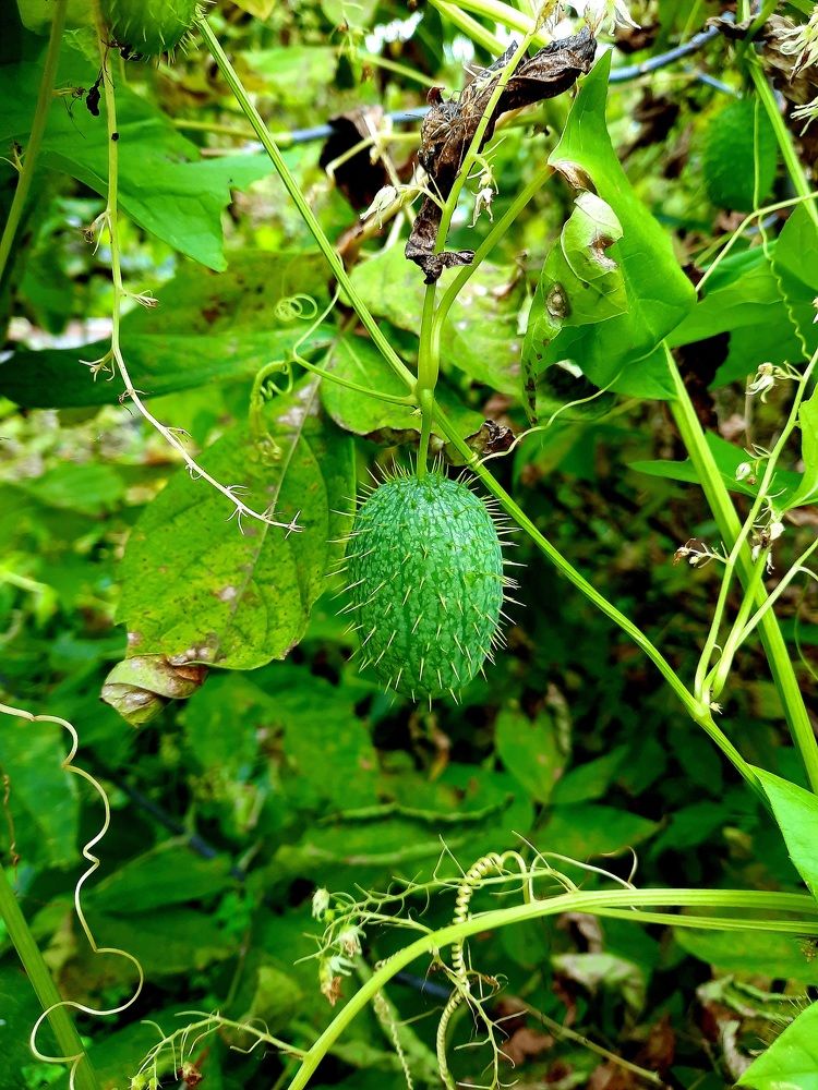 Photograph by Елена Симонова