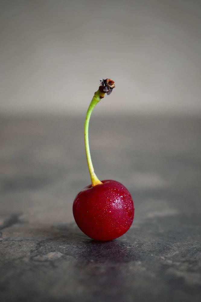 Photograph by Aušrinė Bui