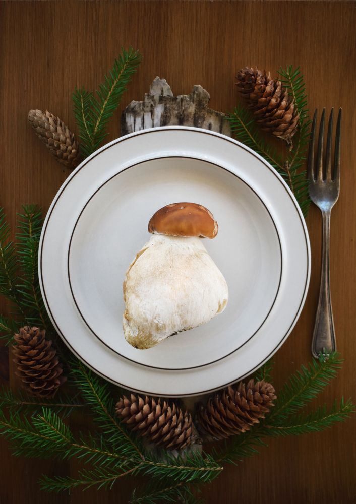 Photograph by Aušrinė Bui