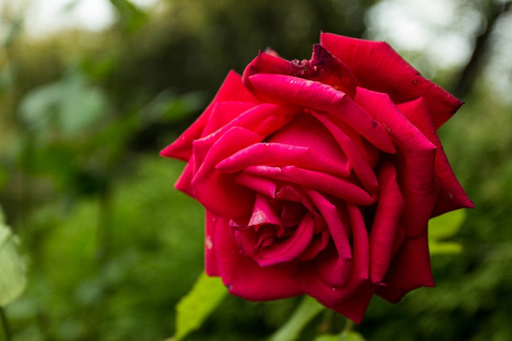 Photograph by Константин Искучеков