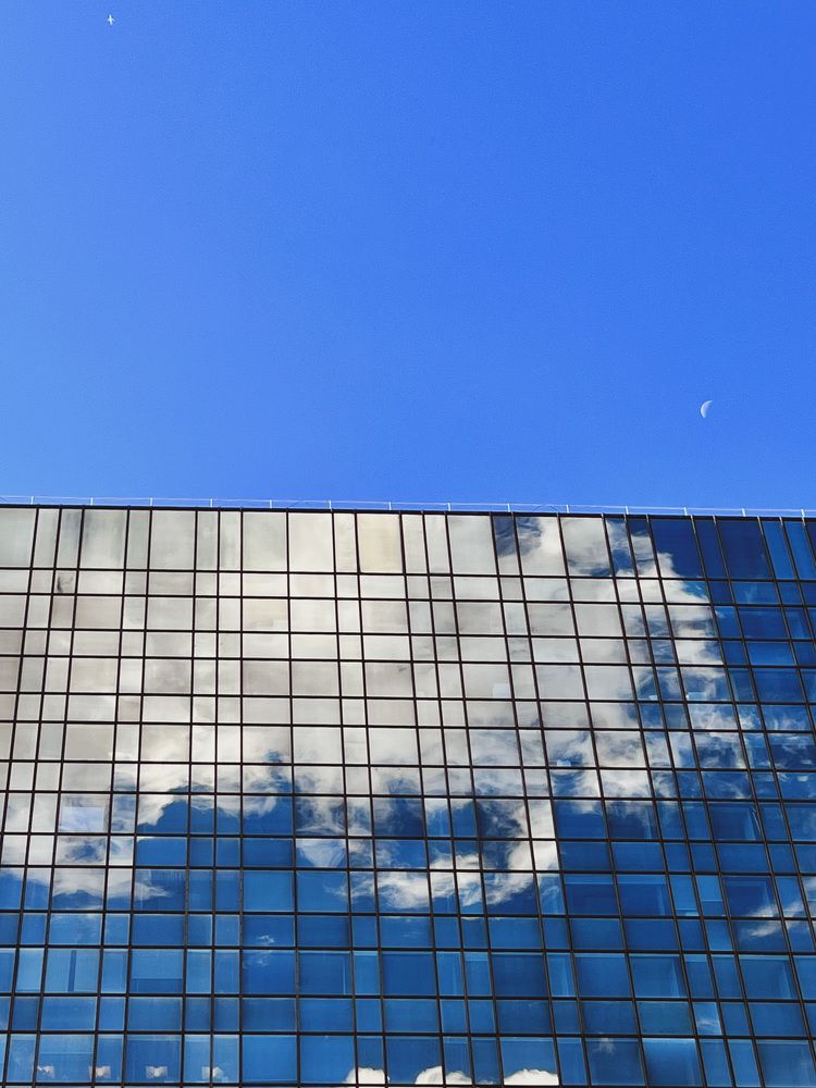 Photograph by Christine ECHEVET-ADAM de VILLIERS