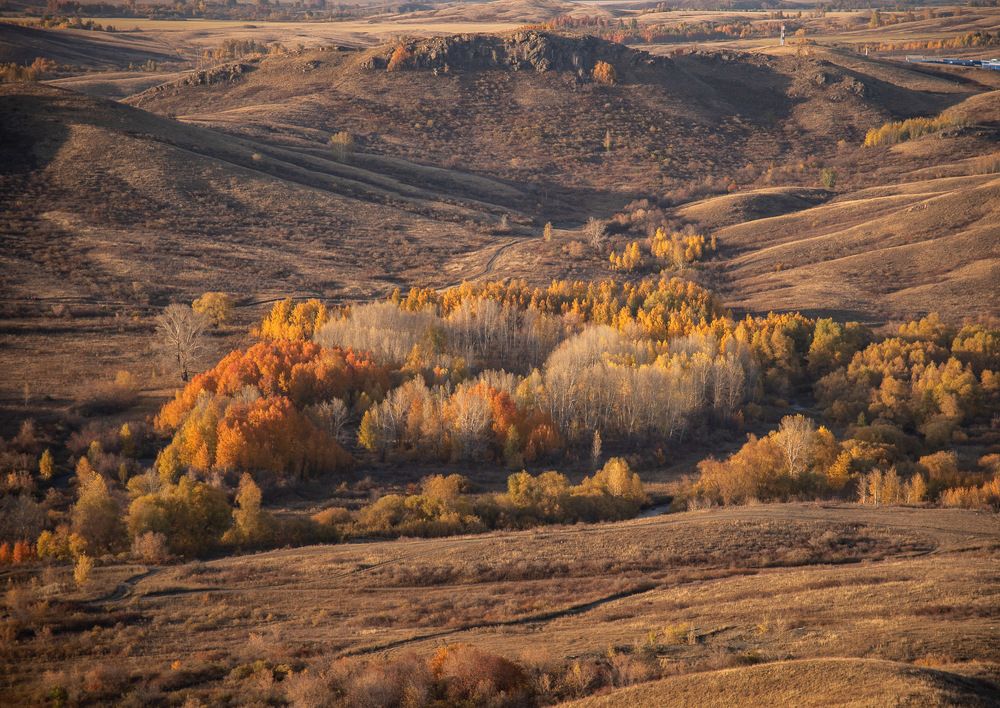 Photograph by Ирина Яук