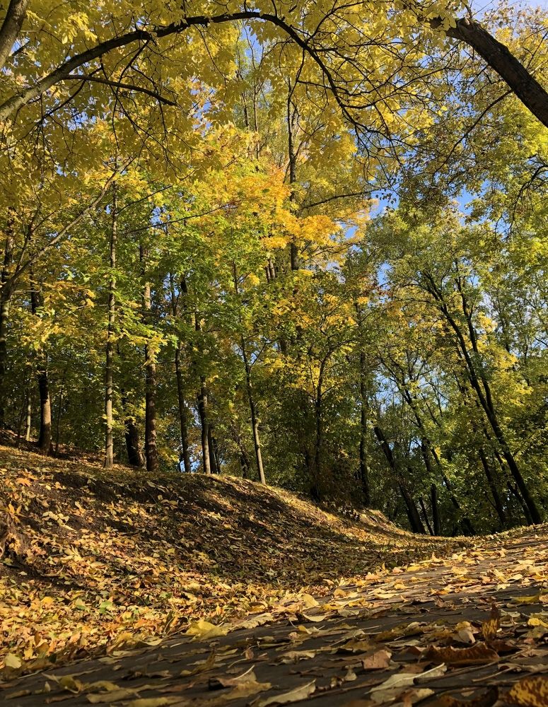 Photograph by Юлия