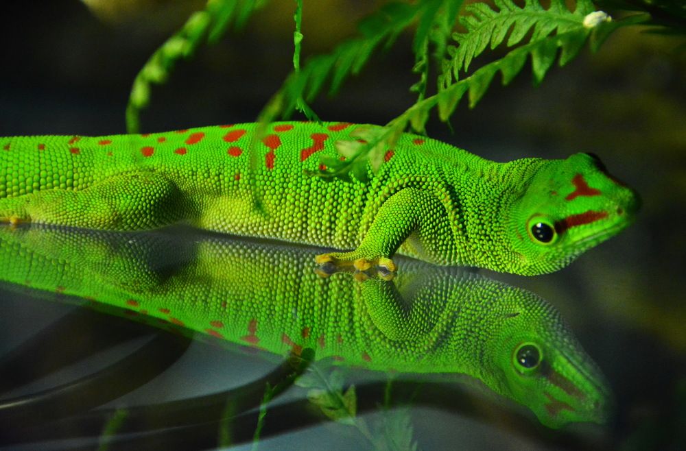 Photograph by Анастасия Смирнова