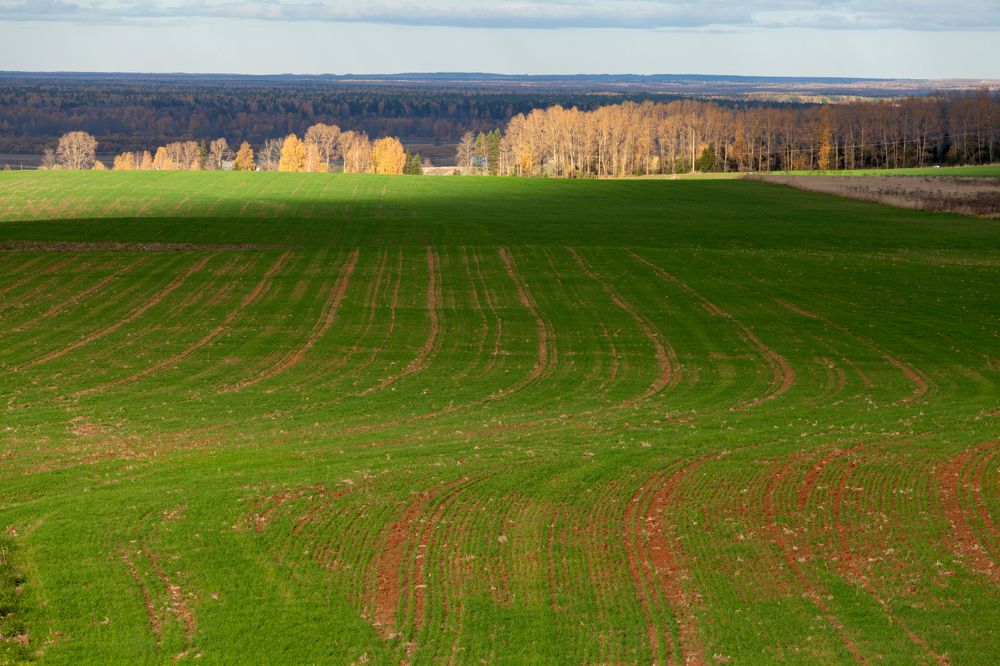Фотография автора Сергей Буторин