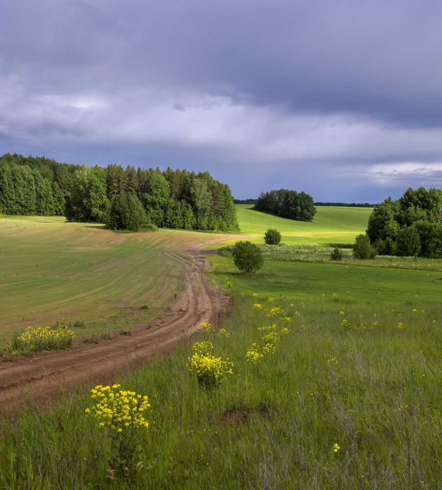 Фотография автора Сергей Буторин