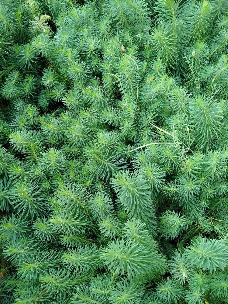 Photograph by Елена Чурынина