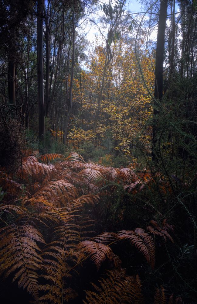 Photograph by Antonio Marquez Lanza