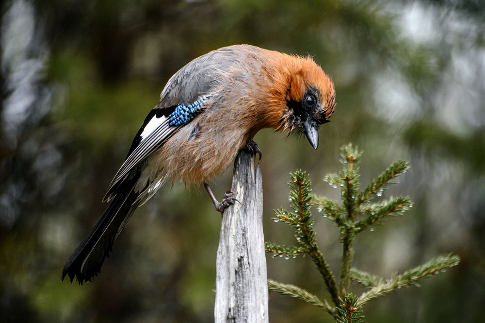 Photograph by Дмитрий Бухтик