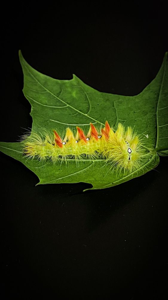 Photograph by Людмила Казак