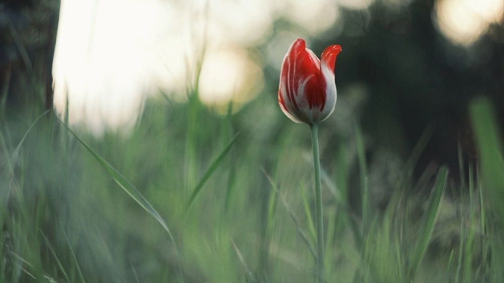 Photograph by Алёна Бондаренко