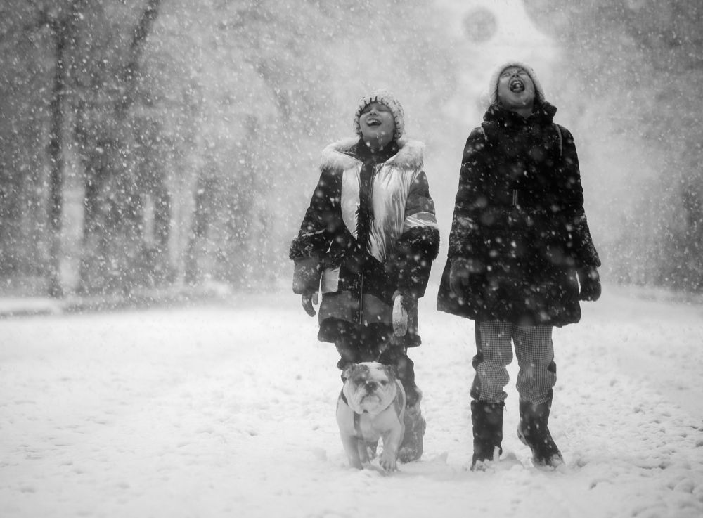 Photograph by Денис Труфанов