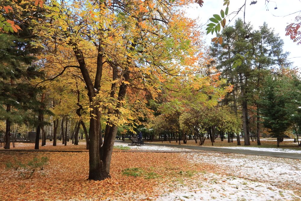 Осенью в Сибири