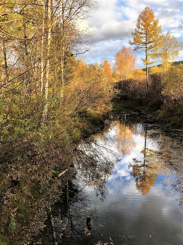 Photograph by Райма Гончарова