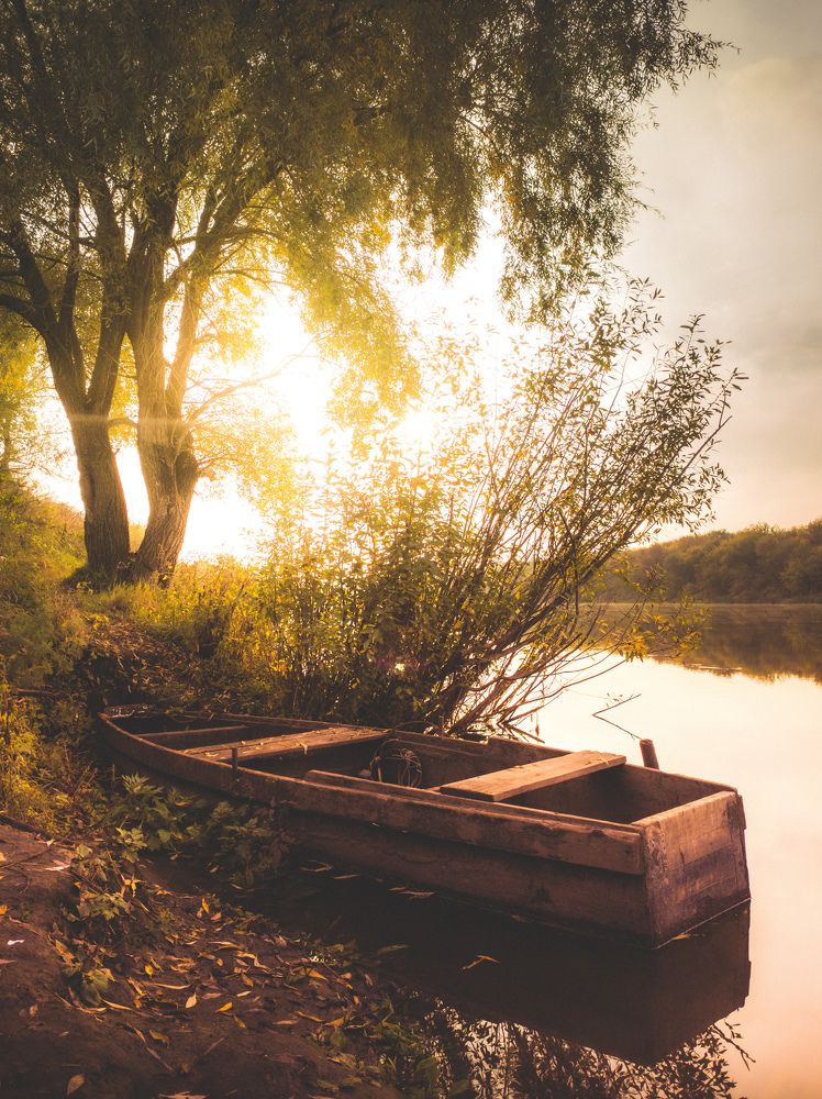 Photograph by Алексей Юдин