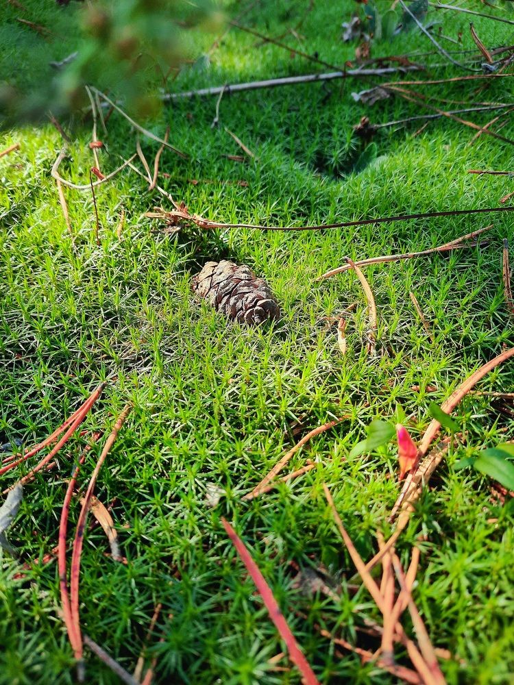 Photograph by Елена Симонова