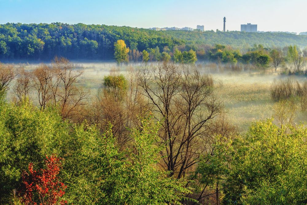 При рассвете осенним утром
