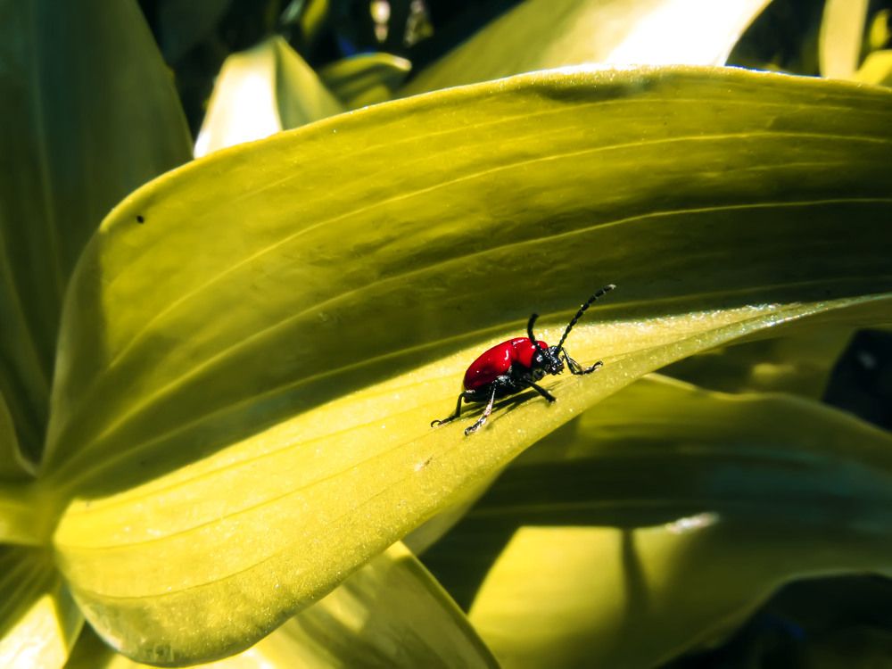 Photograph by Silvia Dubceac