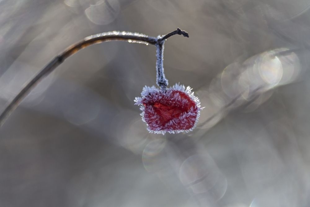 Photograph by Ольга Крючкова