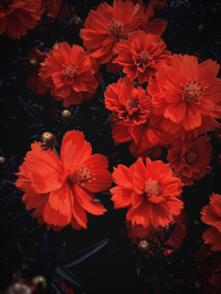 Photograph by Нина Мехнина