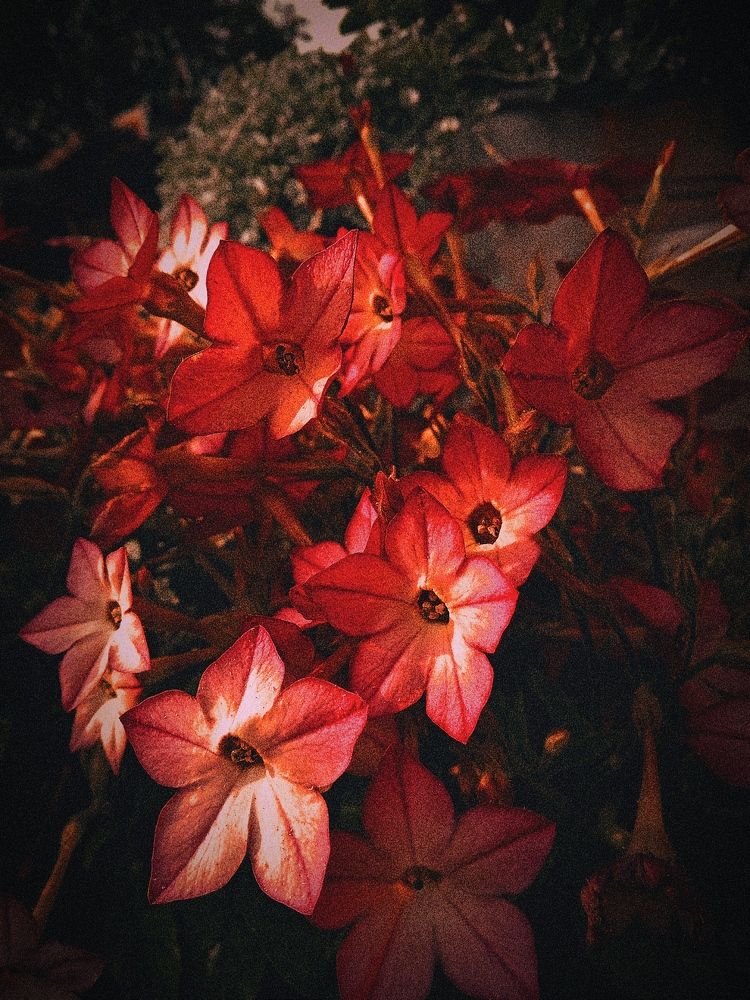 Photograph by Нина Мехнина