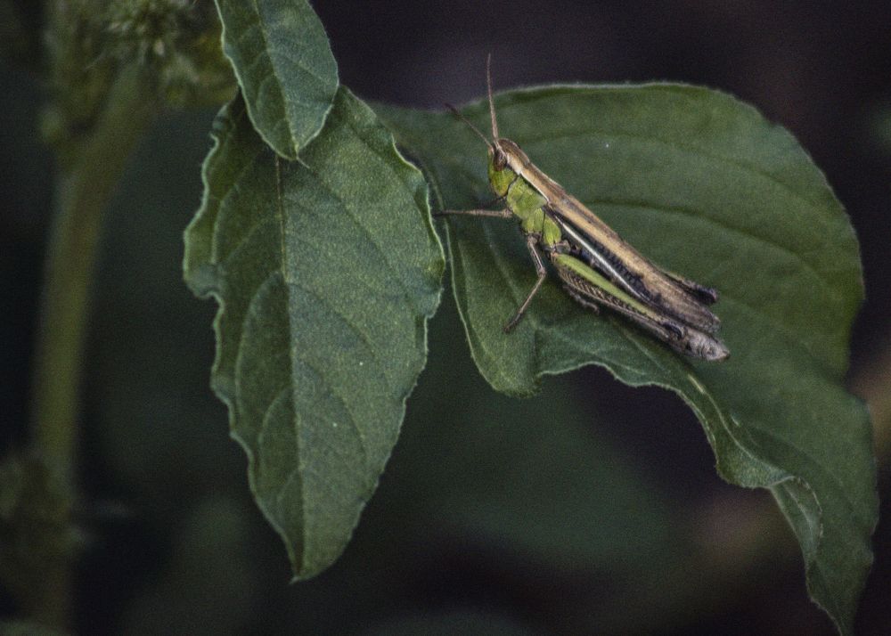 Photograph by Светлана Тарханова