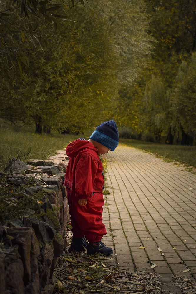 Фотография автора Ксения Вабищевич