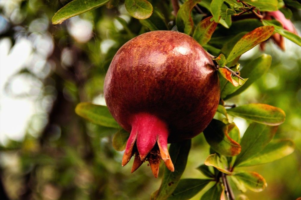 Фотография автора Татьяна Нарайкина