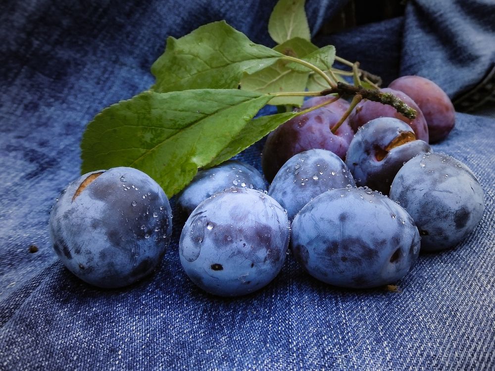 Photograph by Игорь Смирнов