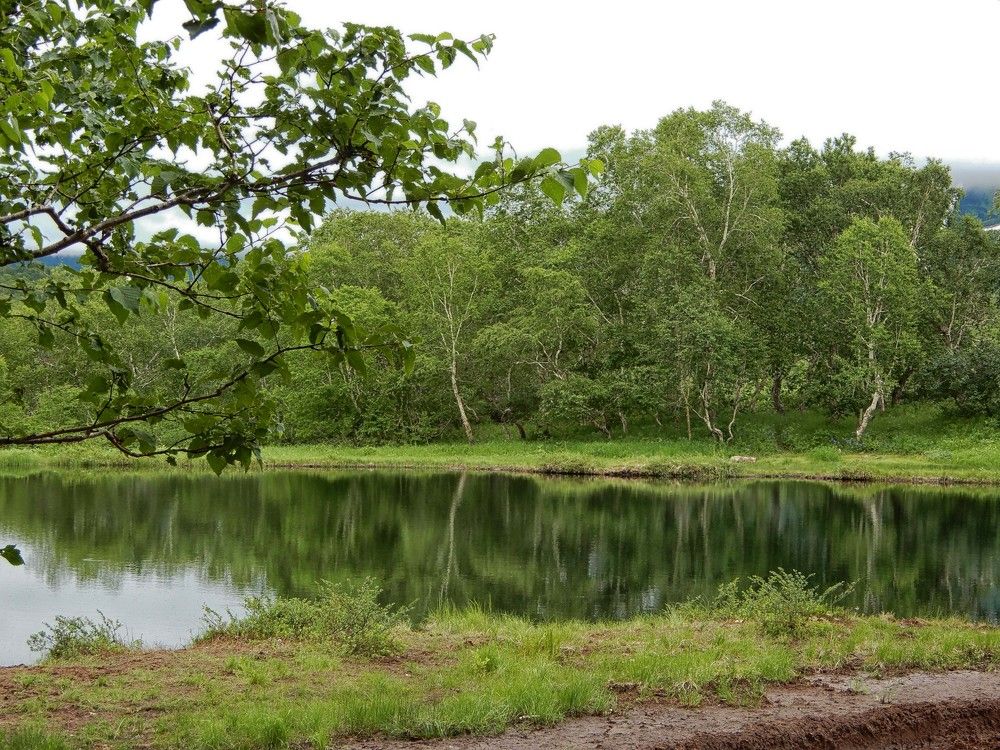 Photograph by София Гавриловна Вотякова