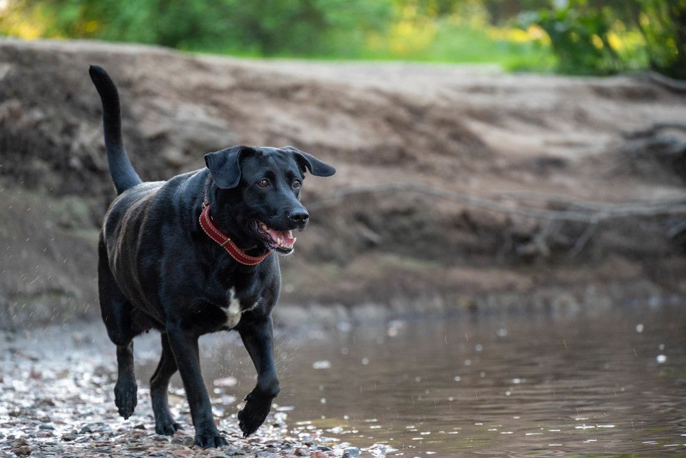 Photograph by Олег