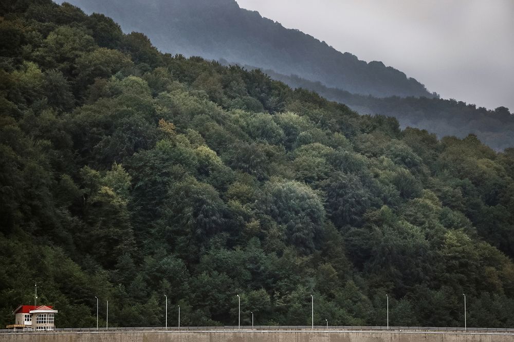 Фотография автора Seyede Elahe GHasemi