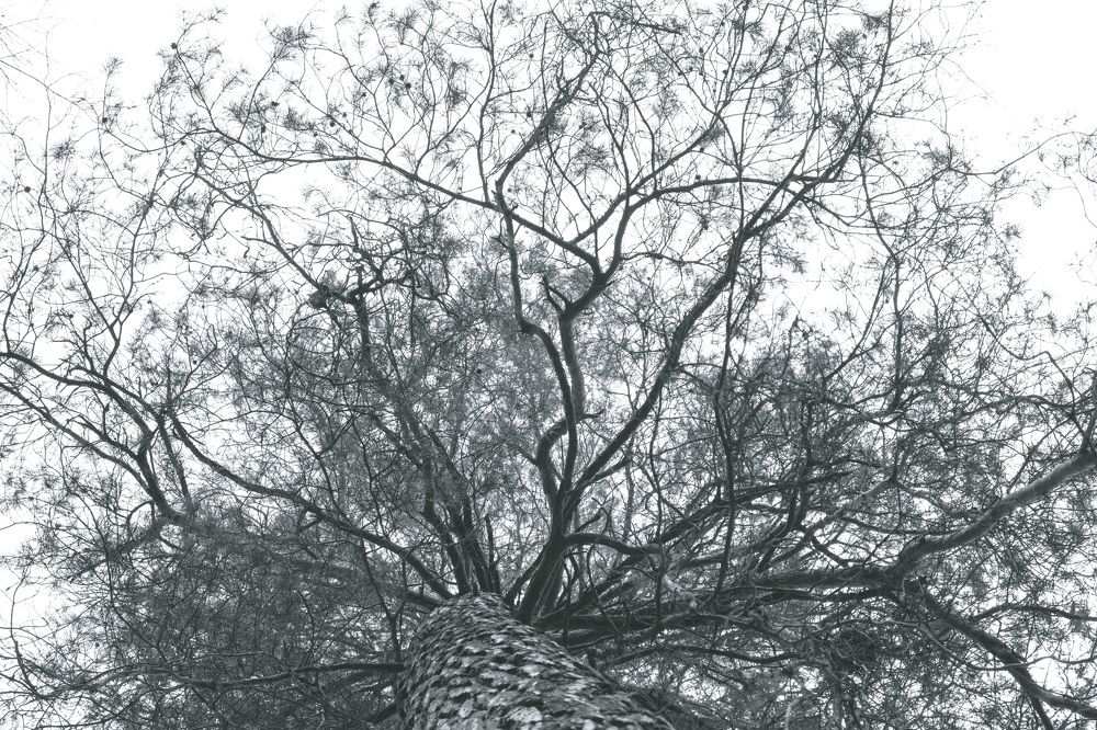 Photograph by Рустам