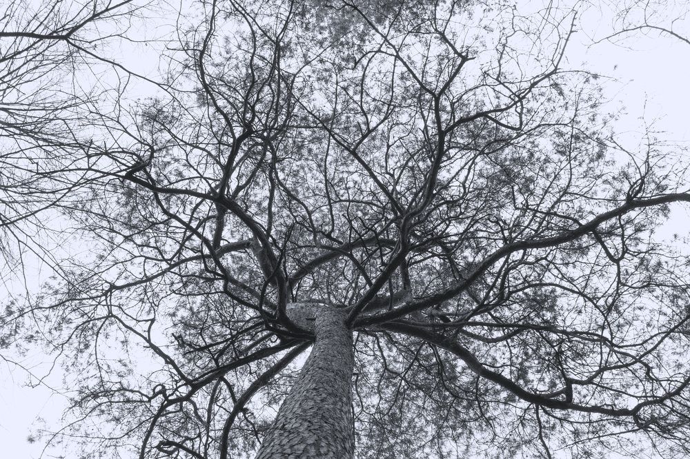 Photograph by Рустам