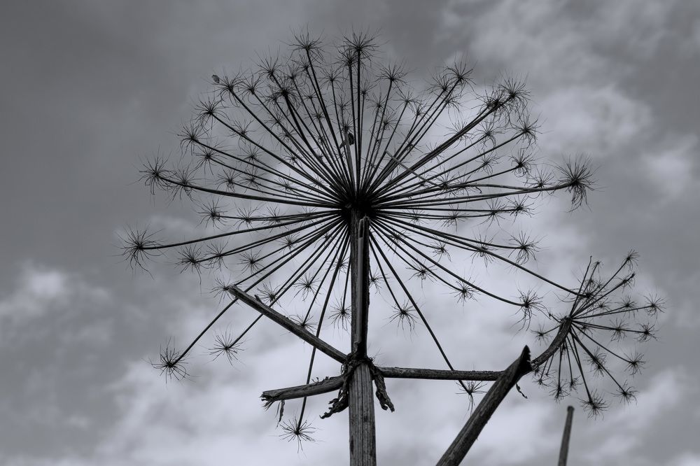 Photograph by Рустам