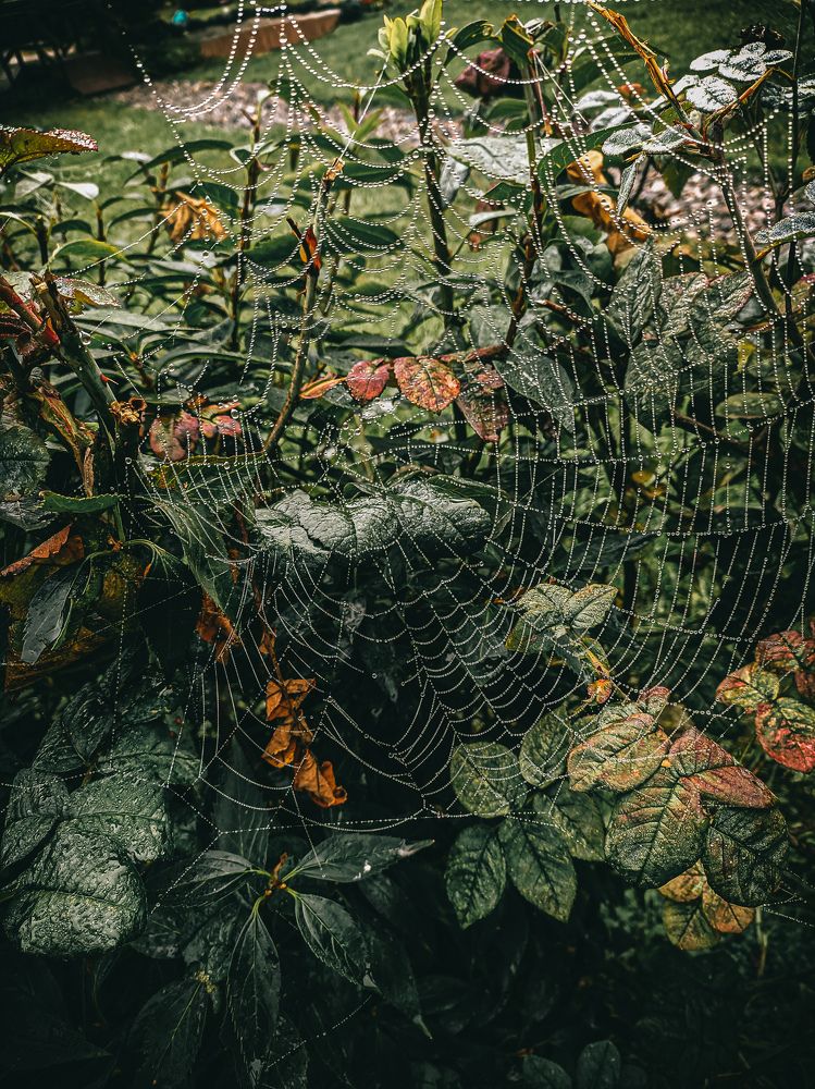 Photograph by Юлия Гашева