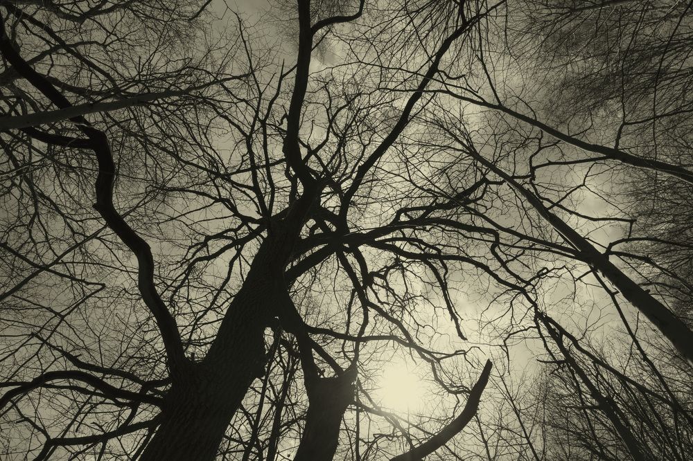 Photograph by Рустам