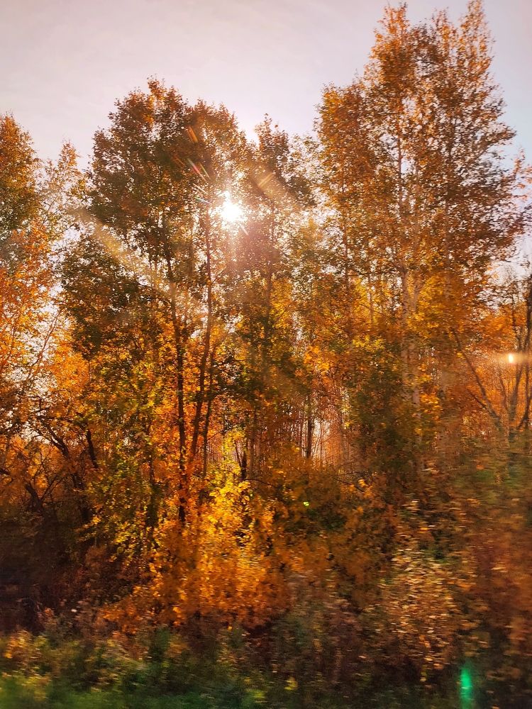 Photograph by Наталья