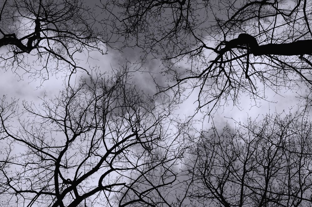 Photograph by Рустам