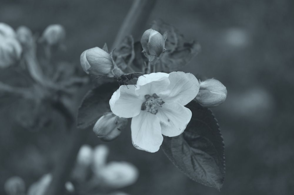 Photograph by Рустам