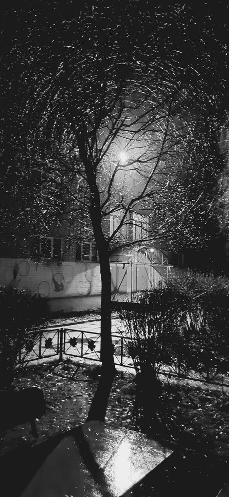 Photograph by Парфенова Александра